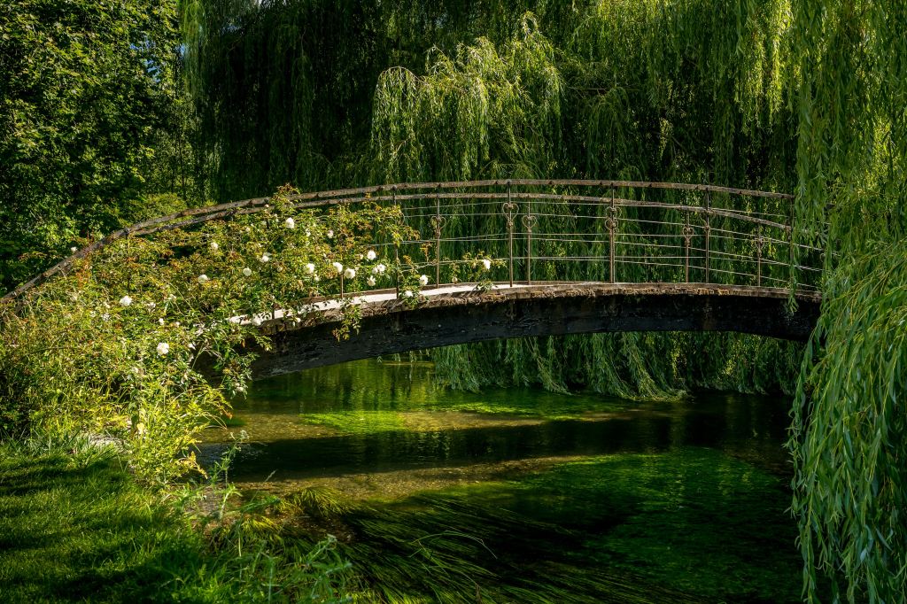 The history of the art. The Impressionism. A bridge over a river, surrounded by trees by Monet.